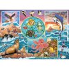 COBBLE HILL Rodinné puzzle Kúzlo oceánu 350 dielikov