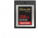 SanDisk 256GB SDCFE-256G-GN4NN