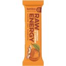 Bombus RAW Energy 50 g