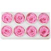 Ruža preparovaná 5cm BRIDAL PINK /ks - bal. 8 ks
