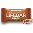 Lifefood Lifebar RAW BIO 25 g