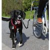 Trixie dog vodiace set na bicykel 2,5cm/1-2m