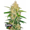 Fast Buds Cannabis Seeds Zkittlez Auto 3 ks