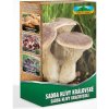 Hliva kráľovská máčková - Pleurotus ery - sadivo - 250 ml