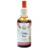 Salvia Paradise Štětka lesní AF tinktura 50 ml