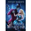 Escaping Wonderland (Tiffany Roberts)(Brožovaná)