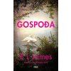 Gospođa (E.L James)(Brožovaná)