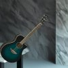 Yamaha APX600
