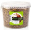 UGF sušený moučný červ 460 g