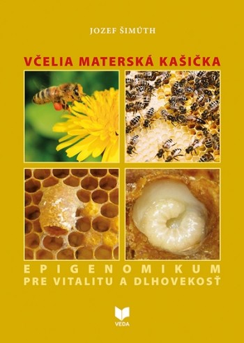 Včelia materská kašička - Jozef Šimúth