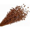 Sušený ľan - kytica cca 100g - hnedý