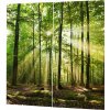 LESNÉ ZÁCLONY S SLNEČNOU POTLAČOU 170 X 200 CM