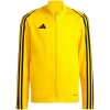 adidas Tiro 23 League Training Jr. IC7874