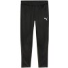 Tepláky Puma Team Goal Training M 658639 03