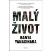 Malý život (Hanya Yanagihara)