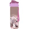 Karton P+P Oxy CLiCK 500 ml