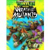 Raw Thrills Teenage Mutant Ninja Turtles Arcade: Wrath of the Mutants (PC) Steam Key 10000505546001