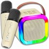 SADA KARAOKE MIKROFÓN PRE KARAOKE BEZDRÔTOVÝ REPRODUKTOR RGB SD USB AUX