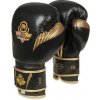 Boxerské rukavice DBX BUSHIDO B-2v13 16oz.