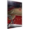 Vertikálny foto obraz sklenený Ihrisko basketbal 50x100 cm