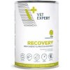 4T Veterinary Diet Recovery 400 g