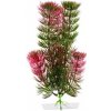 JK ANIMALS Red Anacharis 13-16 cm