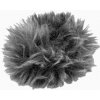 Olympus WJ-2 Windshield pre LS-P1/P4/P5