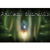 Project Starship Steam CD Key