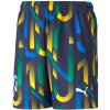 Chlapčenské futbalové šortky Neymar Jr Future s potlačou 605541-06 - Puma 140
