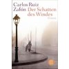 Der Schatten des Windes