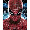 ZUTY Maľovanie podľa čísel - PORTRÉT SPIDERMAN Rámovanie: bez rámu a bez vypnutia plátna, Rozmer: 40x50 cm
