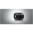 Panasonic Lumix G Vario 45-150mm f/4-5.6 OIS