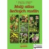 Malý atlas liečivých rastlín - Kolektív autorov