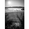Fotografie - Údolie v hmle