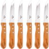 BERLINGERHAUS Nůž steakový WILD JACK´S sada 6 ks BH-2106