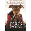 A Dog´s Way Home : The Heartwarming Story of the Special Bond Between Man and Dog - W. Bruce Cameron