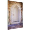 Vertikálny foto obraz sklenený Dvere do snívanie 50x100 cm