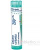 Calcarea Carbonica gra.1 x 4 g 200CH