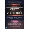 Cesty zlých duší - Joy Karen