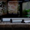 Arcadia Jungle Dawn LED Bar 22w