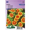 Zinnia haageana Sombrero 0,25 g cca 175 semien