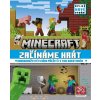 Minecraft - Začínáme hrát - Úplně nové vydání