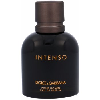 Dolce & Gabbana Intenso parfumovaná voda pánska 200 ml