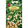 Semienka lesnej jahody W. Legutko Yellow Wonder 0,1 g
