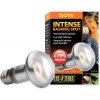 Hagen Exo Terra Intense Basking Spot 50W