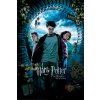 Plagát, Obraz - Harry Potter - Väzeň z Azkabanu, 61 × 91.5 cm