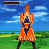 David Bowie: Earthling (Remastered) LP - David Bowie