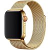Eternico Elegance Milanese na Apple Watch 38 mm/40 mm/41 mm gold AET-AWMNS-go-38