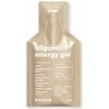 Vilgain Energy gél 40 g