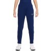 Pánske juniorské zimné nohavice Nike Therma Fit Academy Warrior DC9158-492 M (137-147 cm)